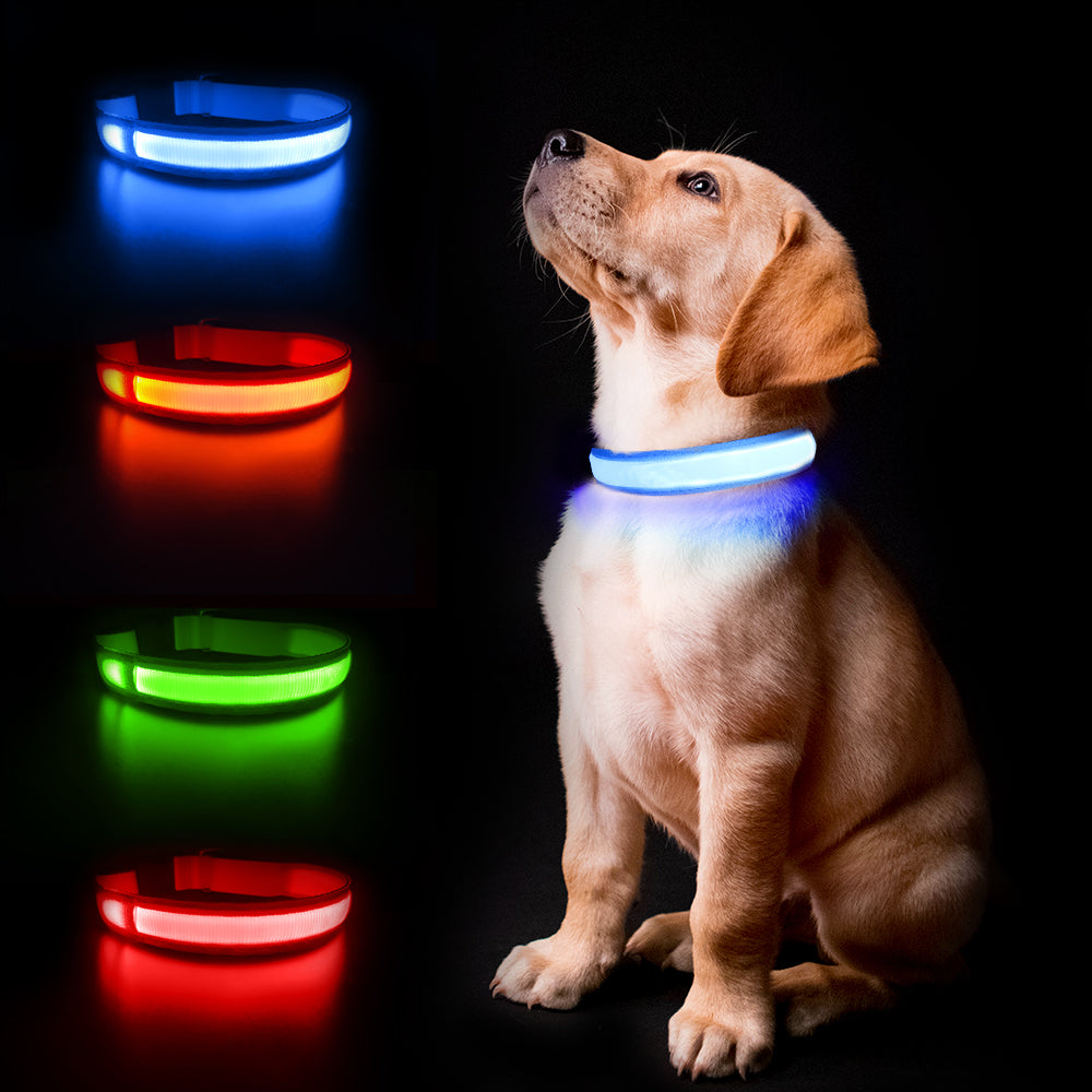 Glow Toys Glow in the Dark L.E.D Dog Collar For Pet Safety at Night